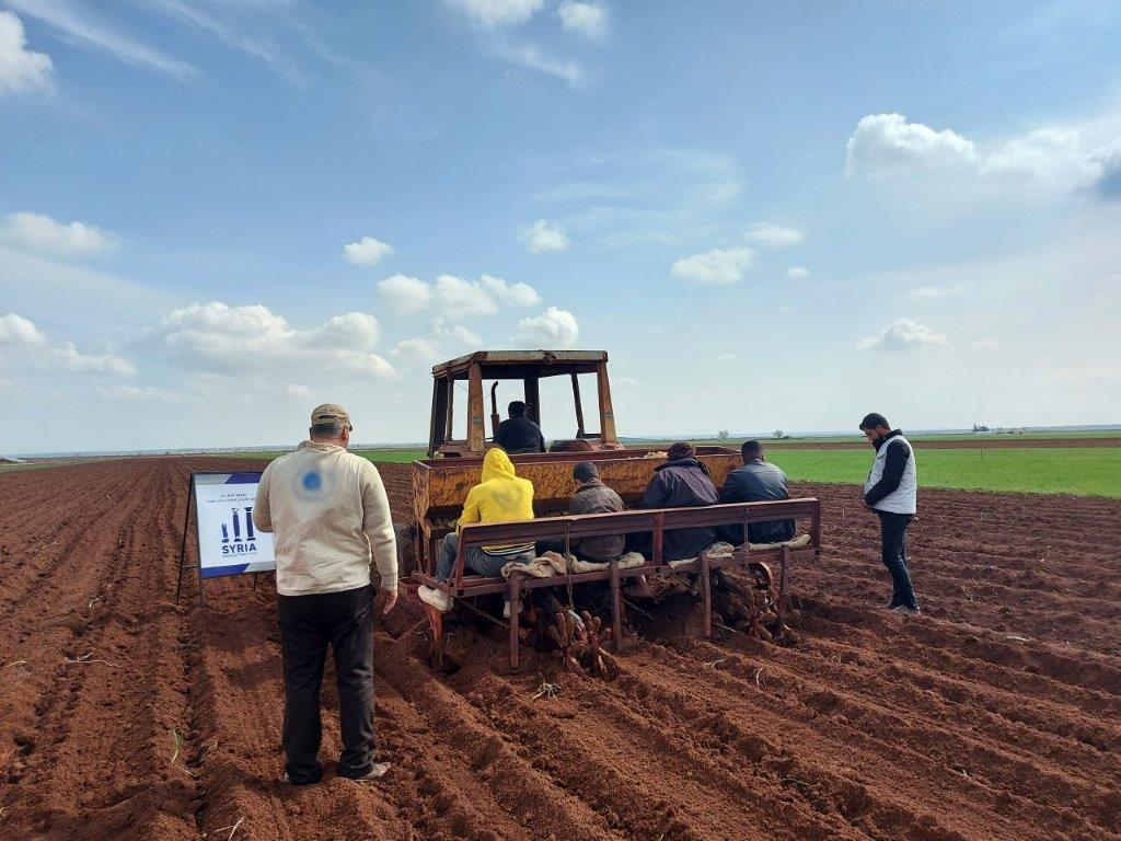 Support to Potato Producers in Northern Aleppo – Phase II