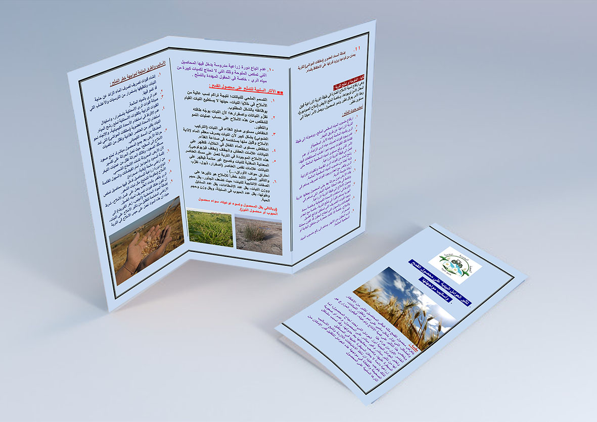 inner-news-image