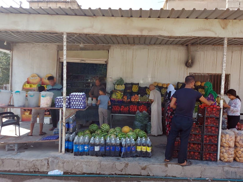 Establishment of Revolving Credit Fund to Support Livelihoods Recovery in NE Syria –Phase II