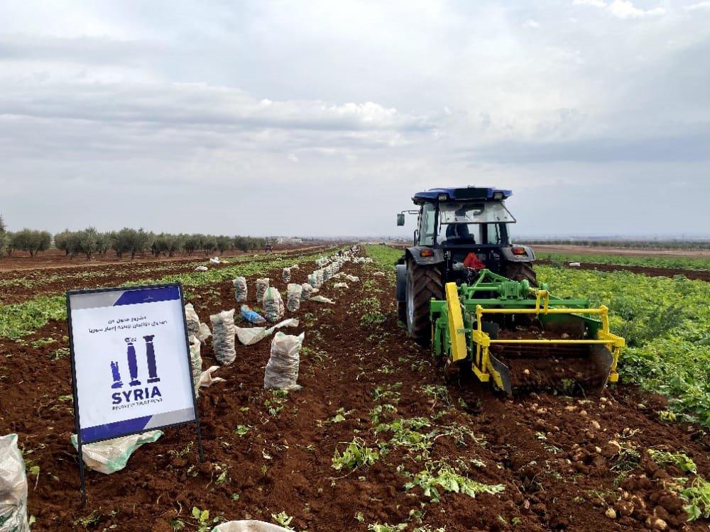 Support to Potato Producers in North Aleppo
