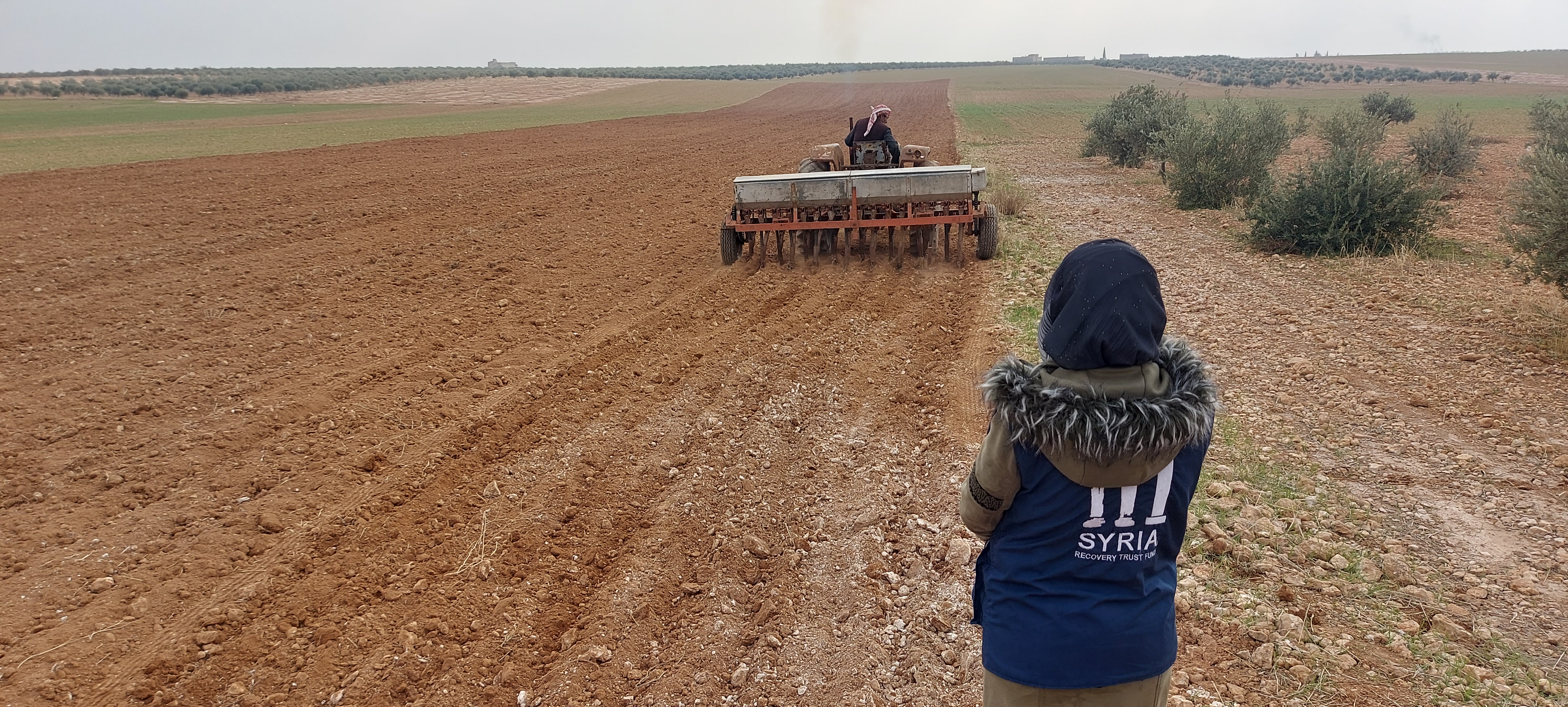 Support Farmers for Wheat Crop Production in North Aleppo – Phase III